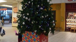 駐車場のキャパ：充分！