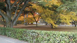 広い苑内、自由に動ける