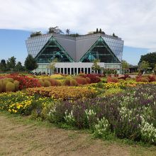 お花がきれい！