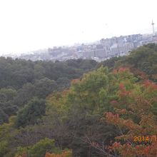 京都市内の眺め