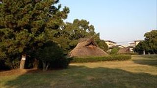 弥生時代中期から古墳時代中期の代表的な遺跡の一つで、国の史跡に指定されています。