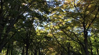 なにわ筋を挟んで、結構広い！