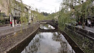 柳並木の雰囲気の良い温泉街