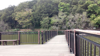 房総のむらのそばの巨大な鯉が一杯いる公園