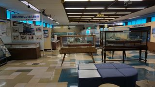 これはけっこう本格的。見応えある施設です