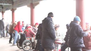 朝のお散歩に最適