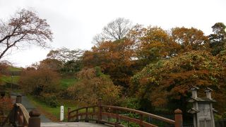 桜じゃない季節は散歩コース