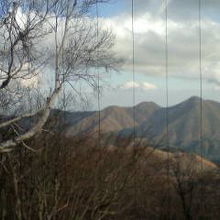 店内からの素晴らしい眺め