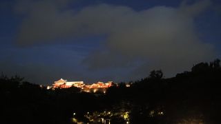 龍潭越しの首里城