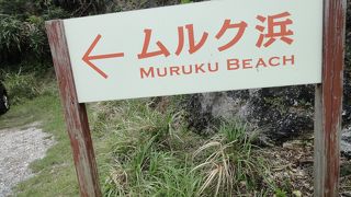 台風でも泳げた！