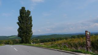 パッチワークの丘の入口