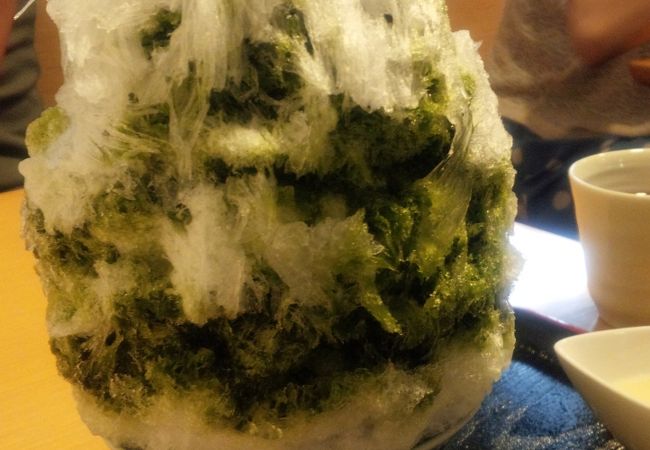 しもきた茶苑大山