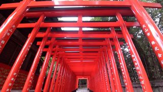 朱塗の鳥居が連なう
