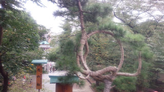 眺めがいいです