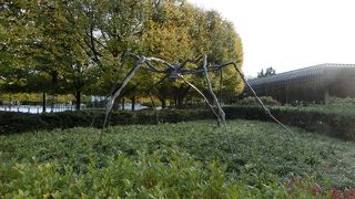 彫刻が展示された庭園もおススメ。東館は改装中でした。