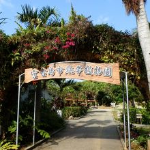 デイゴの花咲く 熱帯植物園 By ガッサン 宮古島市熱帯植物園のクチコミ フォートラベル