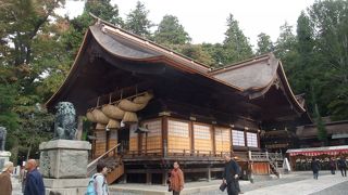 日本一の狛犬がいます！