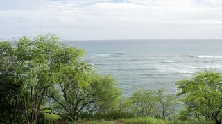 グリーンラインはダイアモンドヘッド観光トローリーです