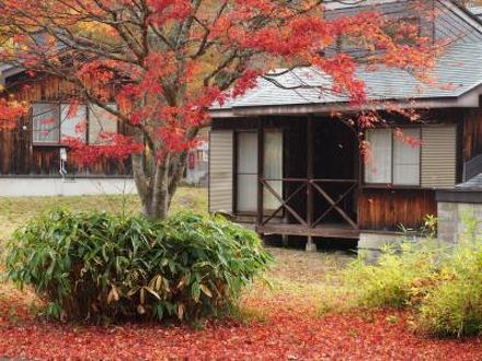 Nature Cottage Akabekoの宿泊予約なら フォートラベル の格安料金比較 裏磐梯 猫魔 Nature Cottage Akabekoの宿泊予約なら フォートラベル の格安料金比較 裏磐梯 猫魔