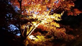 一度は行ってみるべき！！