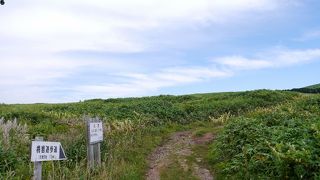 手軽に高山植物と絶景を楽しめる。