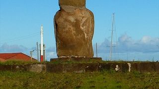 ピコ港の守り神のようなモアイが立つアフ・リアタ。