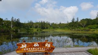 美しい沼、アプローチの湿地帯もすばらしい