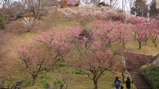 イベントが多い