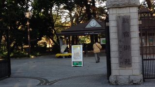 都会のオアシス