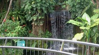 ハロウィーンの時期は最高に楽しい！