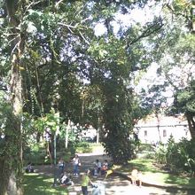 緑豊かな風情の公園でした