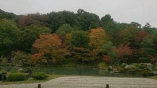 雲龍図を見そびれる大失態
