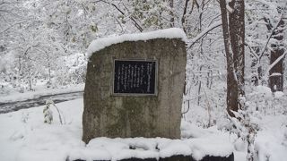 11月半ば、札幌に本格的な冬が訪れる中、森に佇む