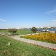 川沿いはお花畑と散策路