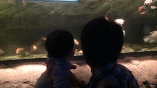 さり気に楽しめます