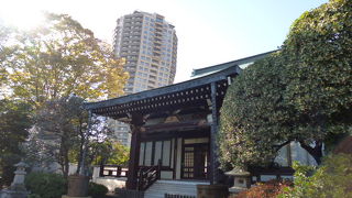 木々が色づき、見映えのする季節です