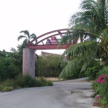 ゲート裏側は植物が凄い状況。