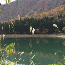 神秘なイメージもあります