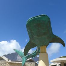 入り口付近にはジンベエザメが青空に泳いでいます