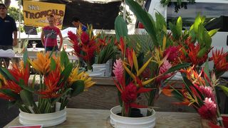 美味しいものがたくさんあって楽しい