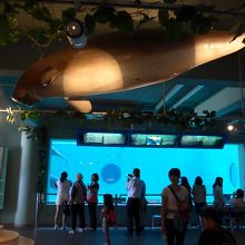 中に入るとこのような感じです