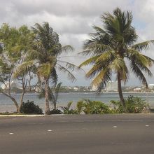 ハガニア湾の風景。遠くにタモンのホテル街