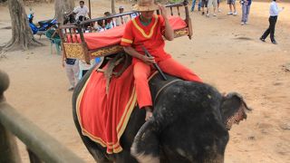 象に乗って南大門をくぐるのは気持ちよかった～