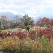秋色の飯田高原と九重連山の眺めがすばらしい