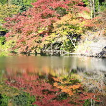 湖面に映る紅葉がキレイなんです