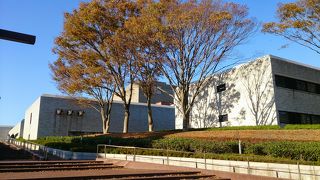 千葉県内では随一の展示内容