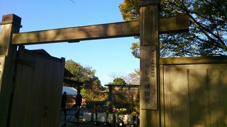 綺麗に展示されしている植物園