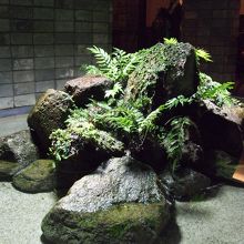 店内の装飾としては奇抜でした