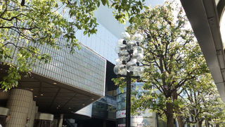 昼時は賑わいます