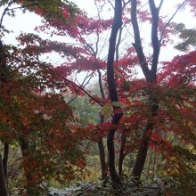 山頂へ向かう途中
